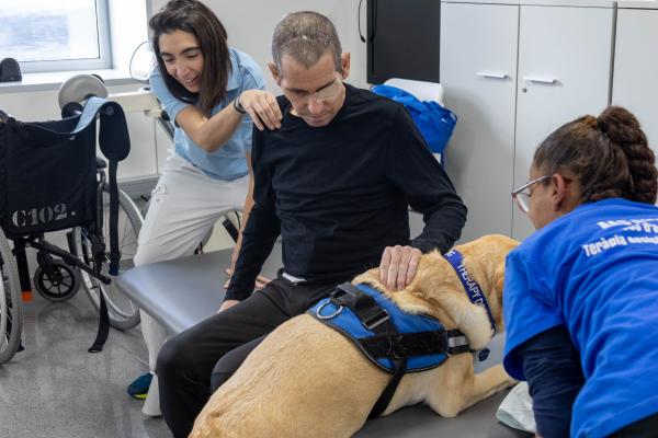 Terapia asistida con perros para los pacientes con amnesia post traumática y mínima respuesta