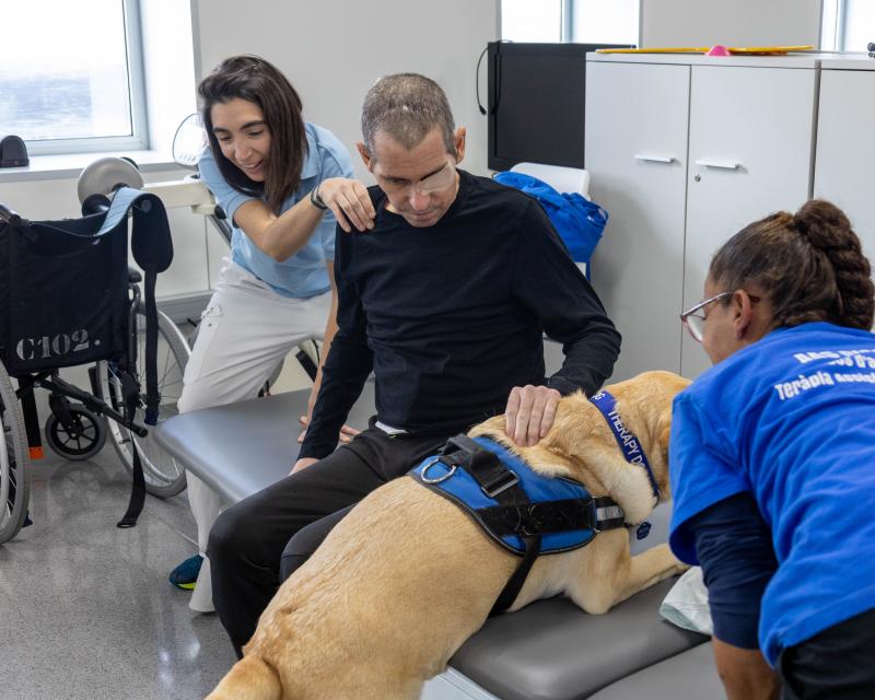 Teràpia assistida amb gossos per als pacients amb amnèsia post traumàtica i mínima resposta 